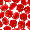Red Poppies on White Logo